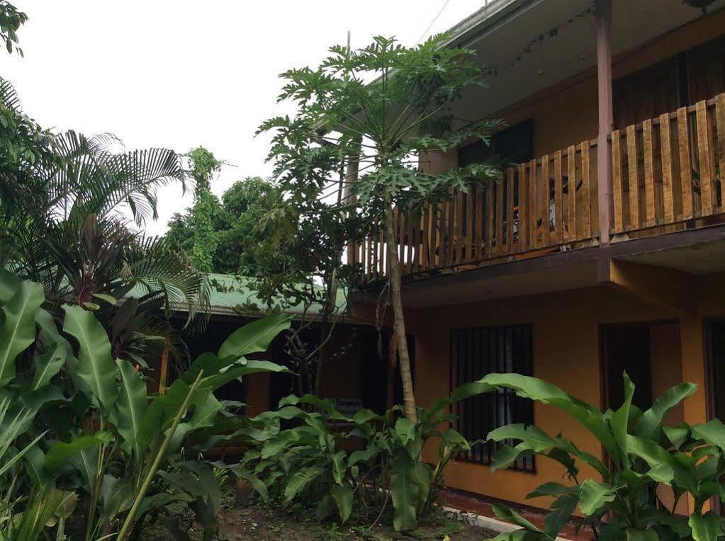Cabinas El Muellecito Tortuguero Buitenkant foto